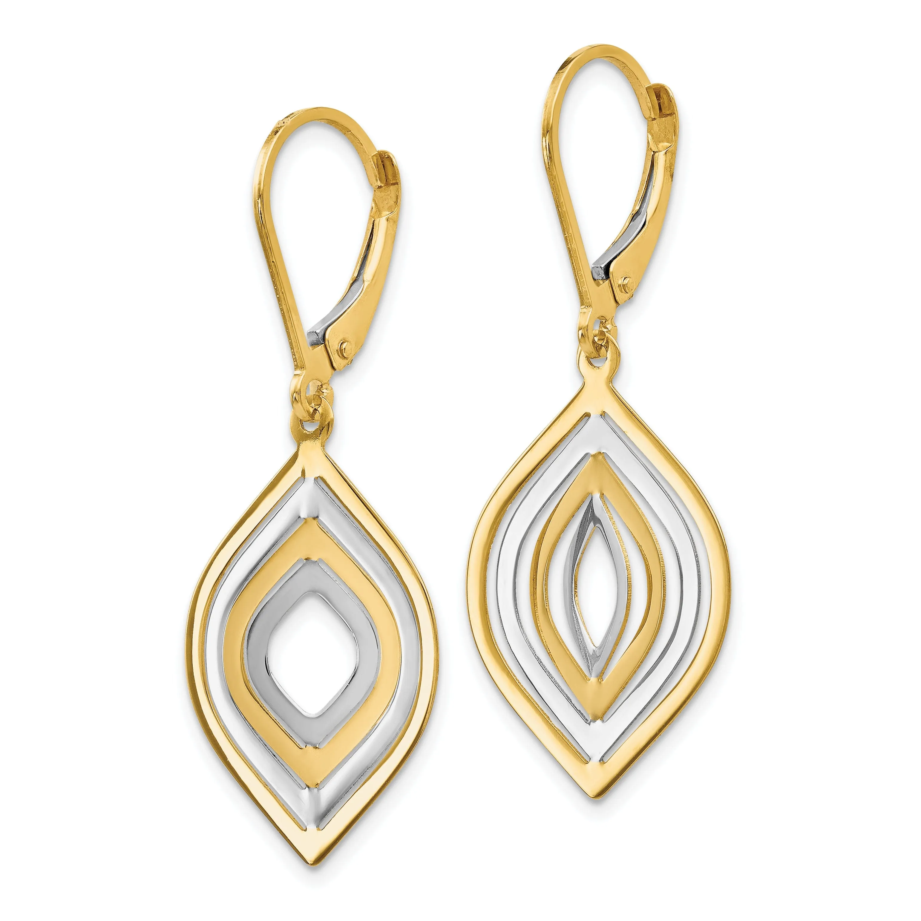 14k Two Tone Gold Polished Leverback Earrings