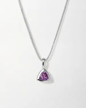 Amethyst February Birthstone Necklace - Silver