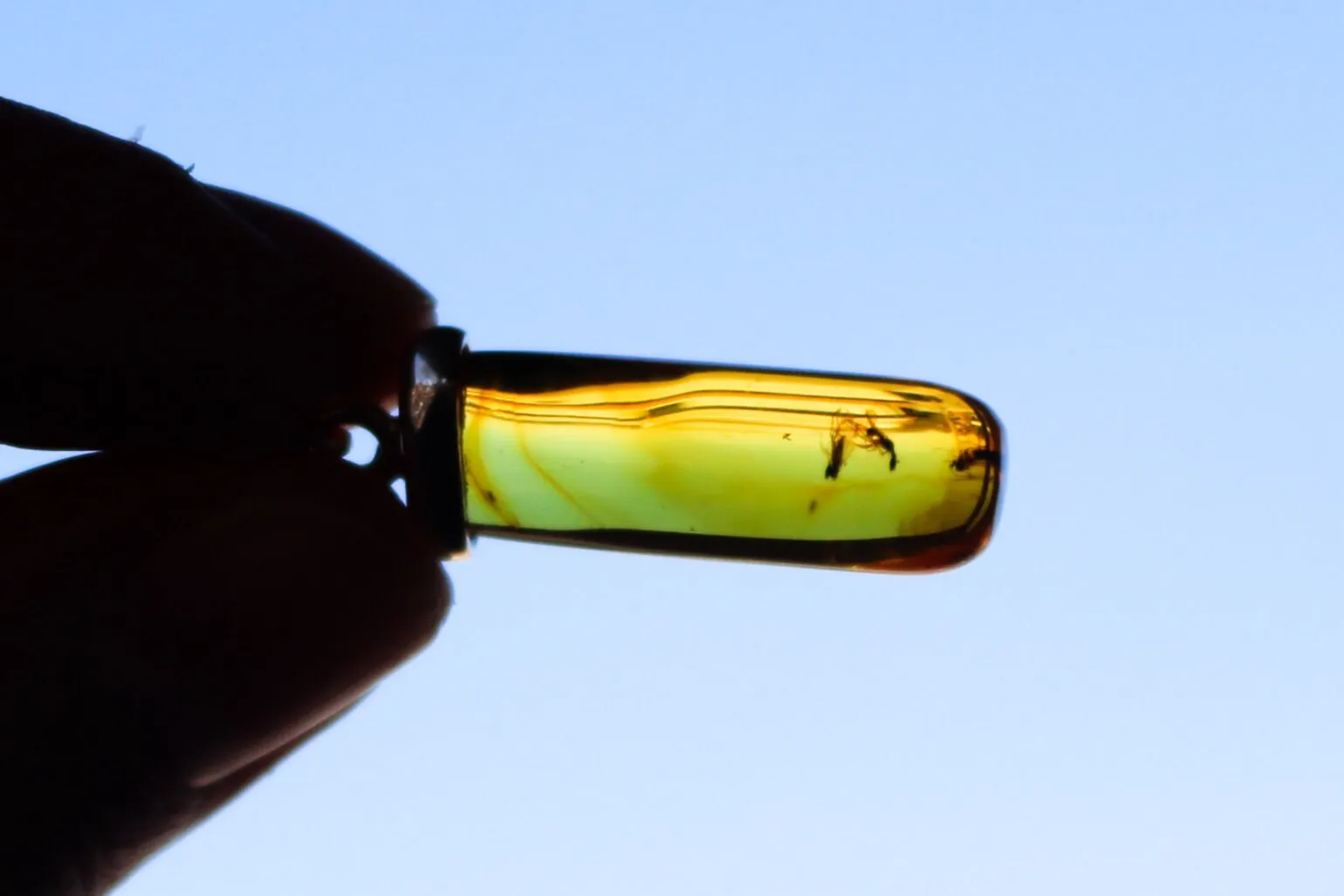 Baltic Amber Pendant with Fossil Insects Yellow Natural Untreated 1.47" 2.7 gram 925 Silveer