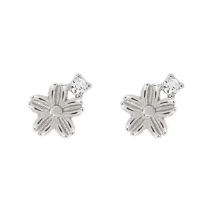 Calanthe Cubic Studs