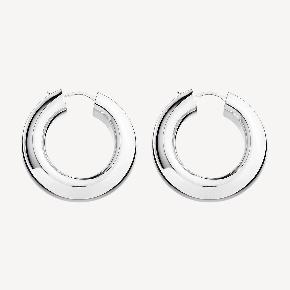 Panorama Hoop Earrings